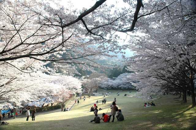 「松阪市森林公園」ってどんなところ？-2