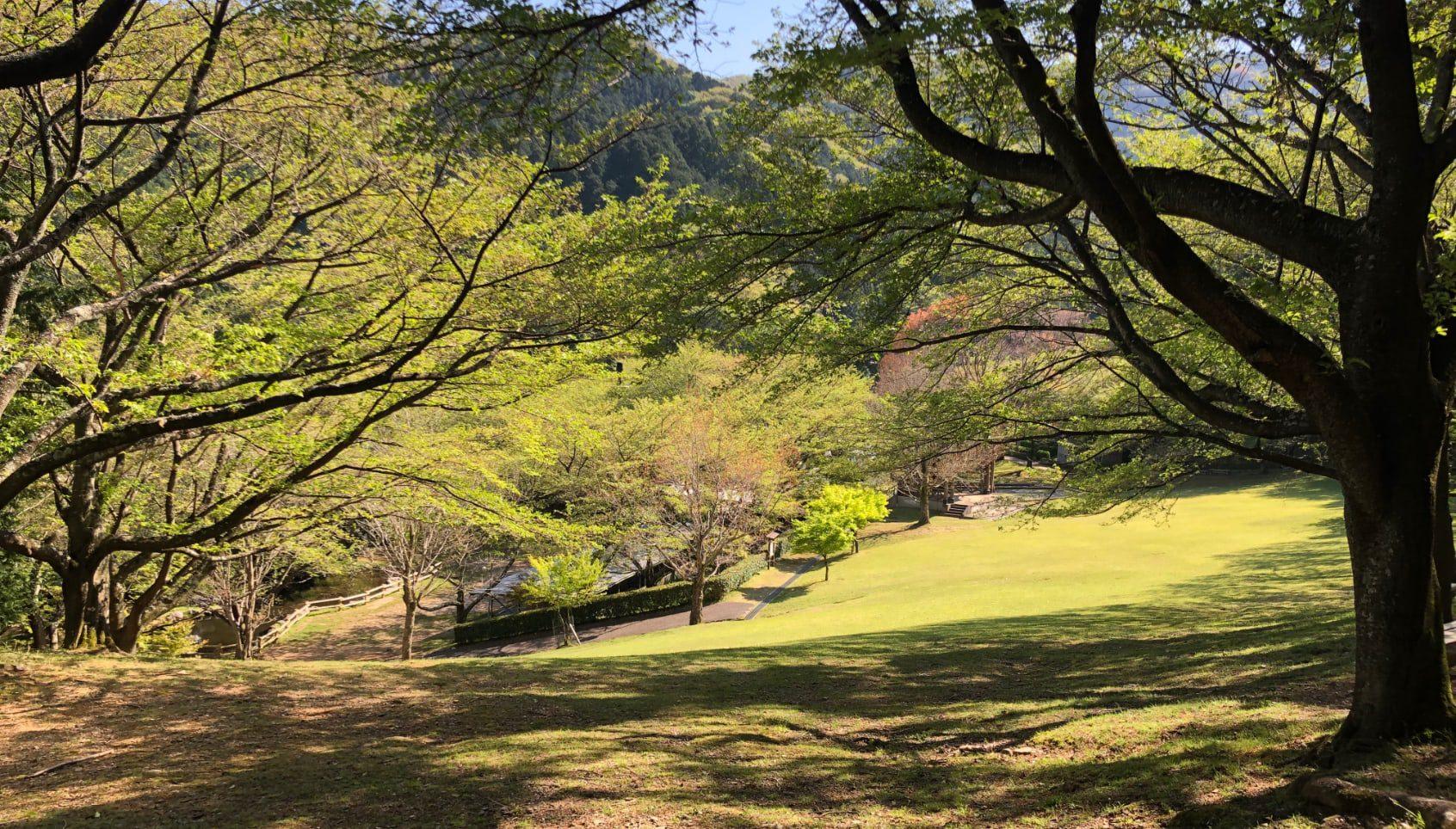 公園としてもめっちゃ遊べる！-2