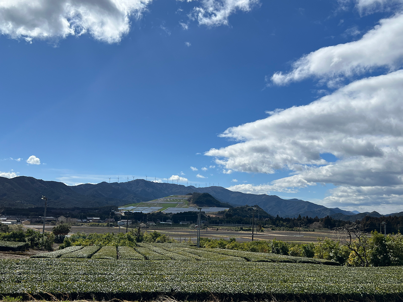 のどかな茶畑や田園風景