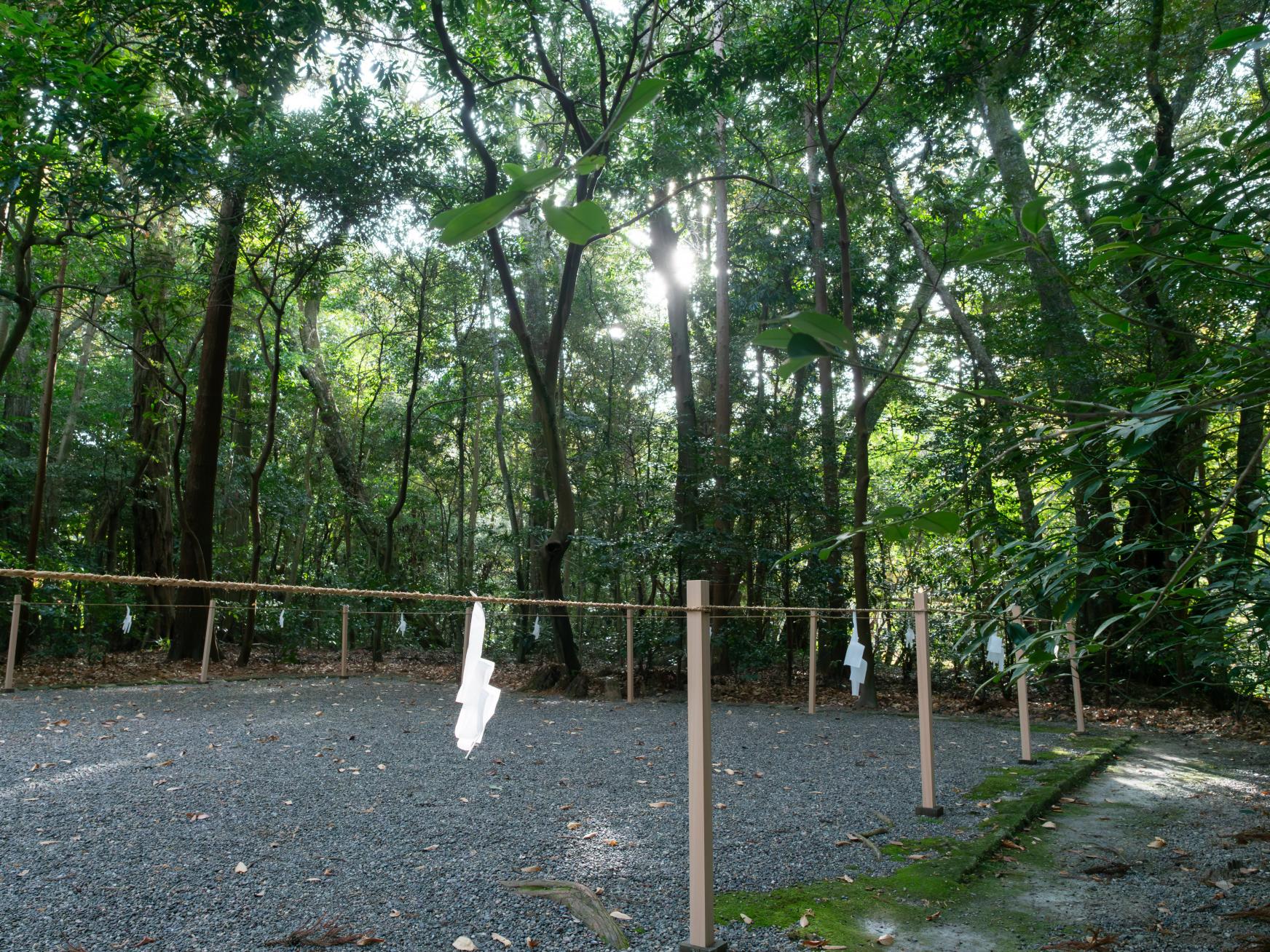 『伊勢で本物を知る』ツアーの特長-0